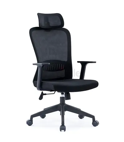 Ergonomic Office Chair with Mesh Back and Headrest