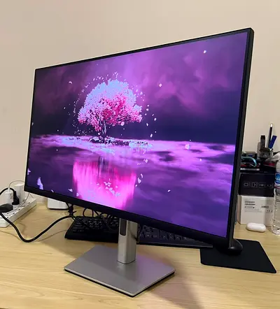Dell 27 boarderless Monitor