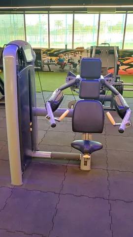 Delts Machine Technogym Fitness Shoulder.