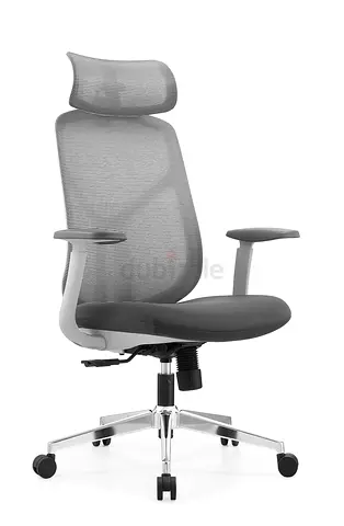 Highback ergonomic mesh chair for executive