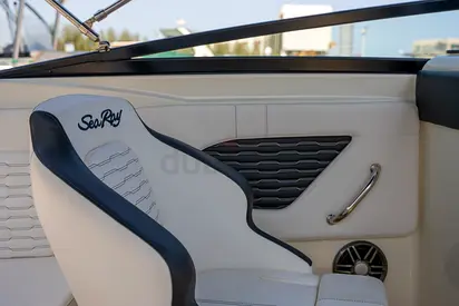 2024 Sea Ray SPX 230 Inboard