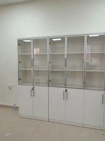 Modern White Display Cabinet with Glass Doors