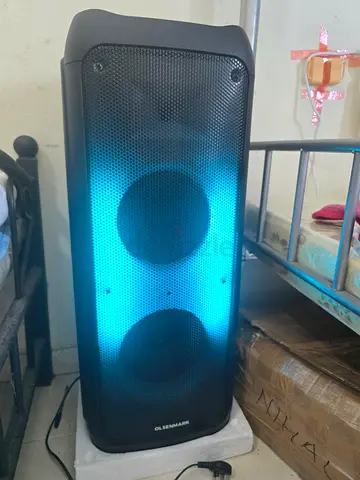 Party speaker