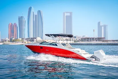 2024 Sea Ray SDX 290