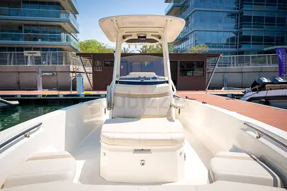 2024 Boston Whaler 250 Dauntless Outboard