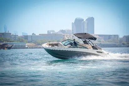 2024 Sea Ray SDX 250 Inboard