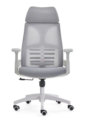 Ergonomic Office Chair with Lumbar Support