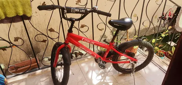 Red BMX Bike for Kids