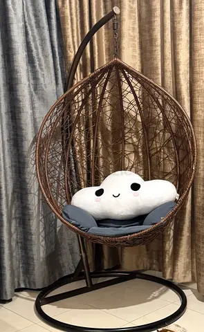 Cozy Hanging Egg Chair