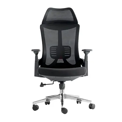 Comfortable Ergonomic Office Chair for Sale