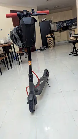 Electric scooter battery damage