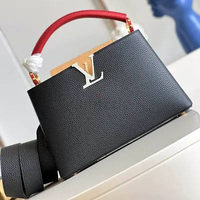 Louis vuitton Capucines Handbag in Taurillon Leather With Contrasting Trims