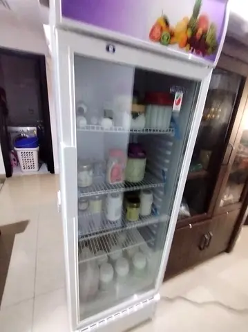 Large Refrigerator for Sale