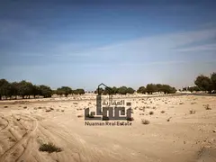 Prime Residential Plot for Sale in Al Ruqaibah, Al Suyoh District - Sharjah ​Description: Discover