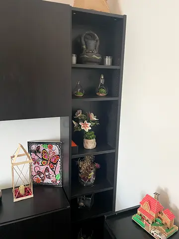 Stylish Cabinet with Decorative Display Space