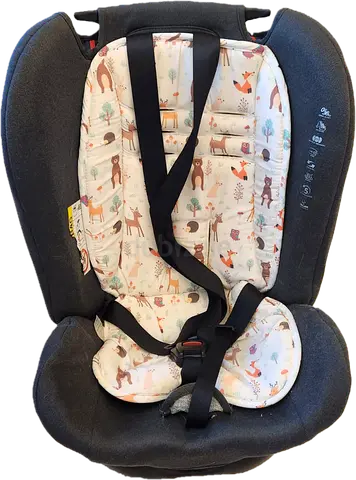 Comfortable and Safe Car Seat for Your Little One.