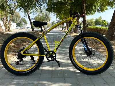 Mountain Fat Tire Bicycle
