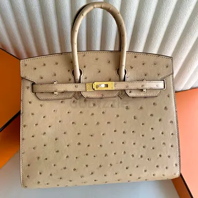 Hermes Birkin 25 Sellier in Chai Ostrich Leather