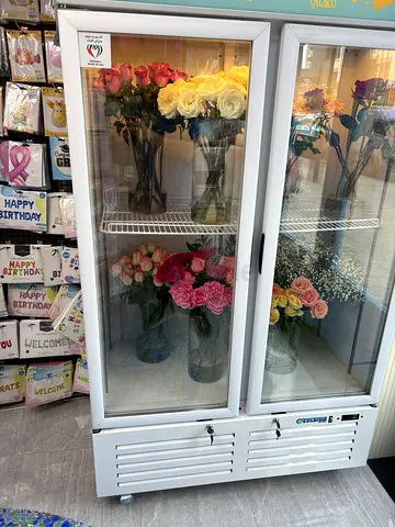 Celcius chiller 1000 LTR