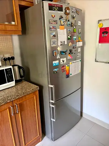 Bosch bottom fridge and freezer new model