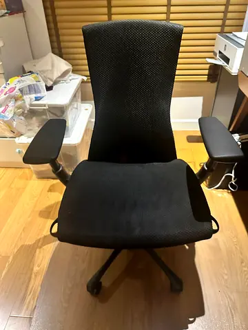Herman miller embody chair