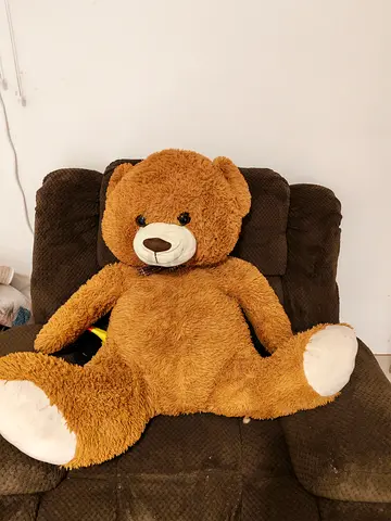 Teddy bear