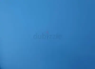 painter