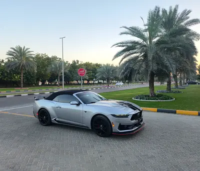 2025 FORD MUSTANG 照片 6