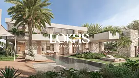 Single Row I Aurora Type I Luxury Community