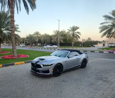 2025 FORD MUSTANG 照片 5