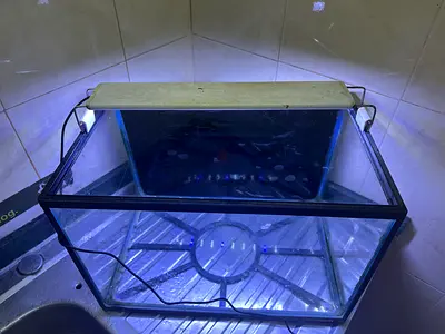 Fish Tank for Sale with Light