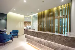 Premium | Fully Furnished | Freezone