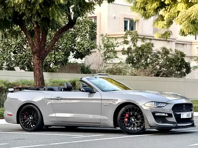 Ford Mustang 2019 GT V8  | In perfect condition | Shelby Kit |