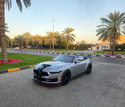 2025 FORD MUSTANG 照片 3