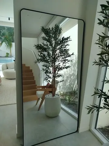 Full-Length Decorative ractanguler  Mirror