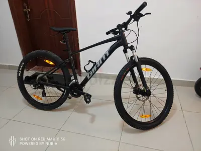 Bicycle giant