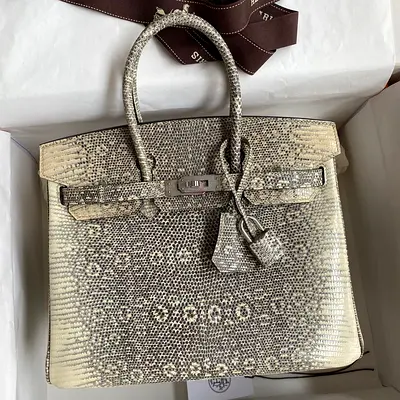 Hermes Birkin 25 Retourne In Ombre Lizard Leather
