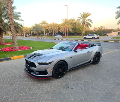 2025 FORD MUSTANG 照片 2