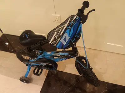 Spartan Thunder kids bike