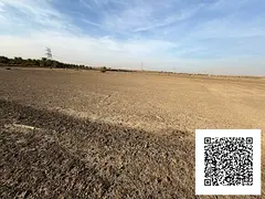 AVAILABLE RESIDENTIAL LAND 10000 SQFT FOR SALE IN AL MANAMA 11 AJMAN UAE