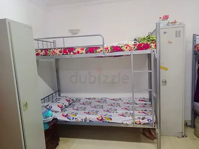 Executive ladies  Bed Space available in Al muteena