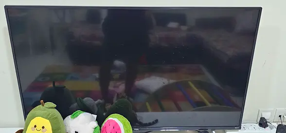 TCL TV 50 Inch. Not working