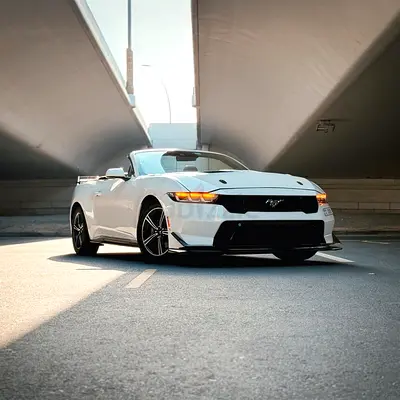 SHELBY Kit | No Deposit* | Free Delivery* | 24/7 Assistance | Ramadan Special |