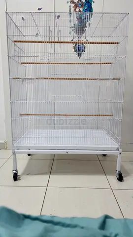 New bird cage