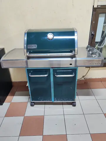 Outdoor Gas Grill for Sale
