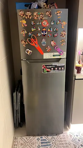 Stainless Steel Refrigerator with Magnetic Board