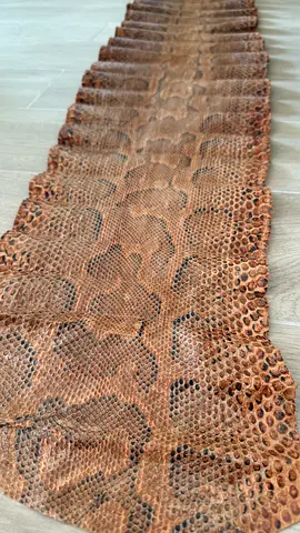 دبي كريك هاربور بيتش