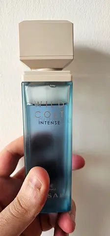 Assaf Wild Colt Intense in Mint condition - Final Price