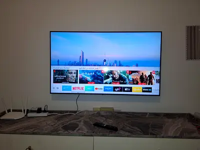 HANDYMAN/ Tv Services/ LED wall Mount/Paint