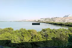 Peaceful and Lush Green Community! Invest Now!